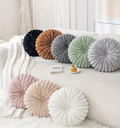 2 pcs Plush & Cozy Throw Pillows with Filler