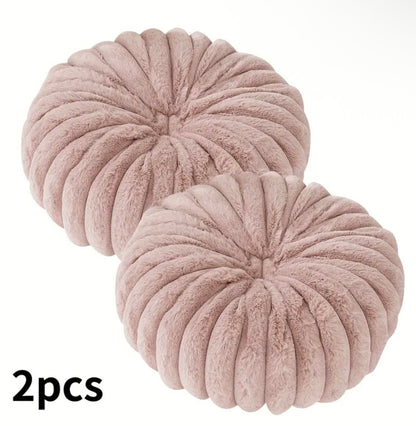 2 pcs Plush & Cozy Throw Pillows with Filler